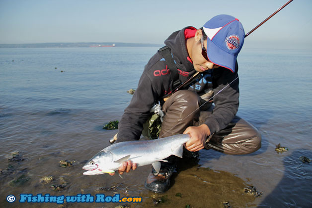 Fresh pink salmon from the beach