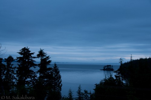 Early morning in Port Hardy