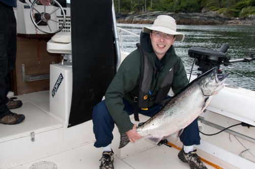 Northern Vancouver Island chinook salmon