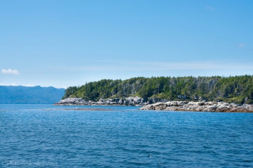 Rugged BC coast