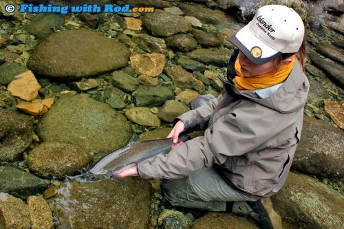Releasing a coho salmon