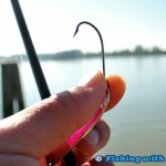 A bent hook by a pink salmon