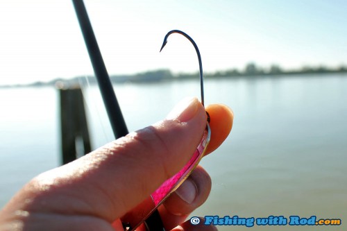 A bent hook by a pink salmon