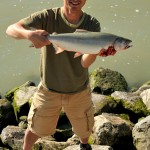Fraser River pink salmon