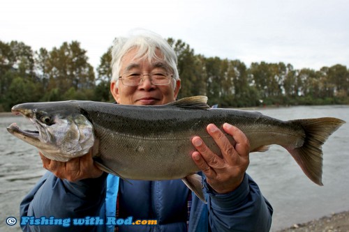 His first hatchery coho salmon