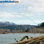 Chilliwack River winter steelhead fishing