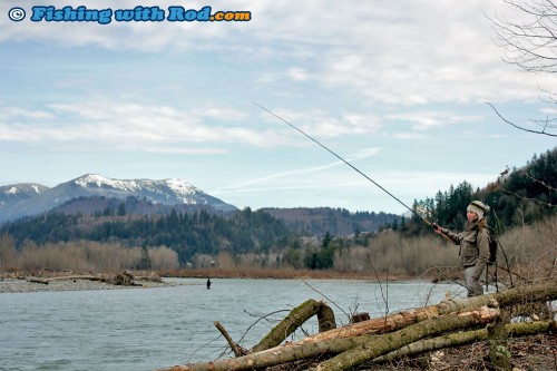 Chilliwack River winter steelhead fishing