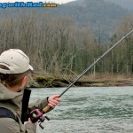 Fighting a Chilliwack River winter steelhead