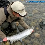 Landing a Chilliwack River winter steelhead