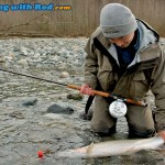 Releasing a Chilliwack River steelhead