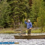 Acrobatic rainbow trout