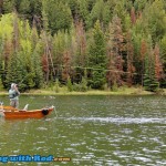 Fighting a large rainbow trout