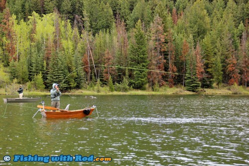 Fighting a large rainbow trout