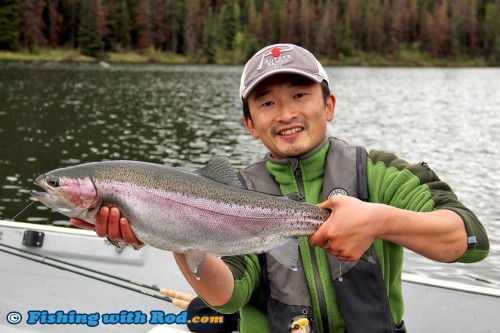 Trophy rainbow trout from Onion Lake, at last