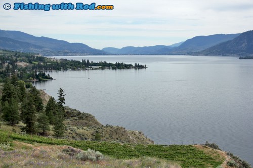 The view of Naramata and Penticton