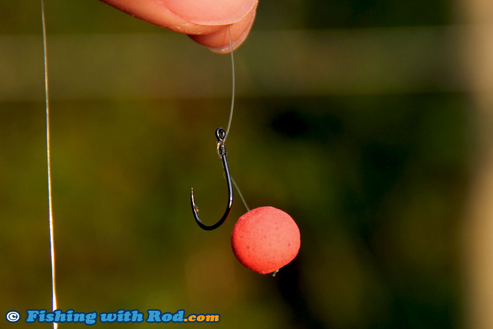 A boilie on a hair rig « Fishing with Rod Blog