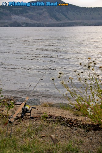 Okanagan Lake carp fishing