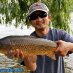 Carp from Okanagan Lake