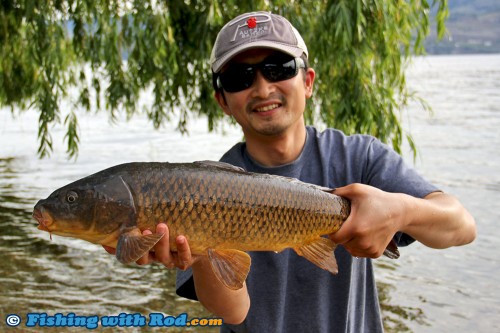 Carp from Okanagan Lake