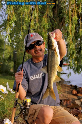 A large northern pikeminnow