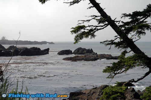 The View at Black Rock Oceanfront Resort