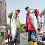Chinook Salmon in Ucluelet