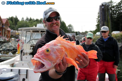 Red Snapper in Ucluelet