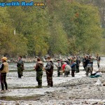 Crowded fishing spot at Chilliwack River