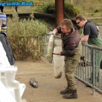 K.E.E.P.S. volunteer Ross Davies showcasing a chum salmon