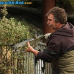 K.E.E.P.S. volunteer Ross Davies showcasing a chum salmon