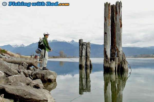 Hunting for Lower Fraser cutthroat trout