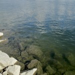 Good Water Clarity