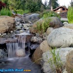 Crystal Cove Beach Resort in Tofino BC