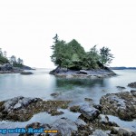 Tofino BC