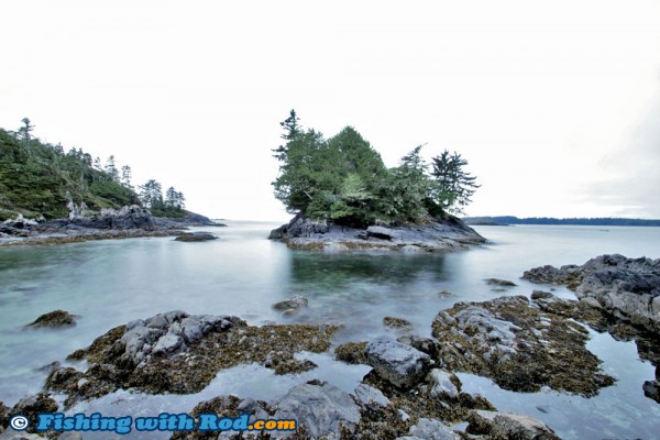 Tofino BC