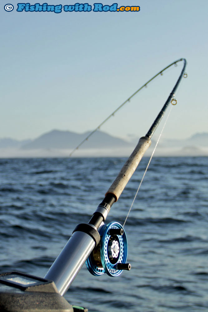 Trolling for Chinook Salmon in Tofino BC « Fishing with Rod Blog