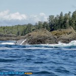 Big Waves in Tofino BC