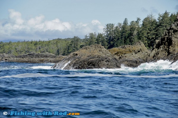 Big Waves in Tofino BC