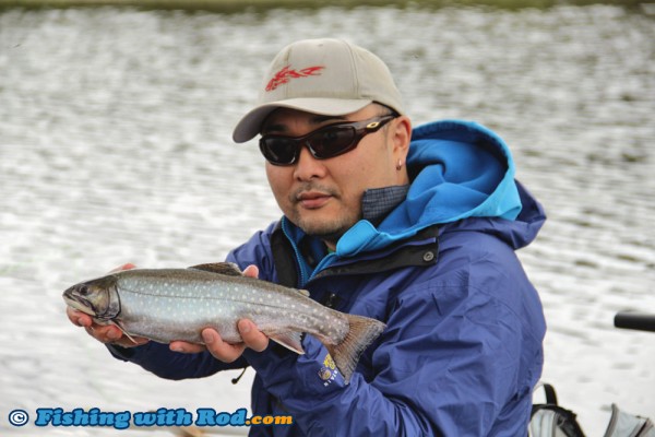 Nice Brook Trout