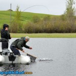 Netting a Big Brook Trout