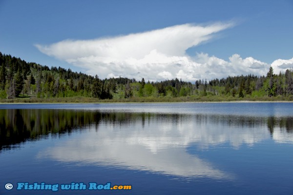 Calm Lake, Blue Sky, Paradise!