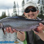 Big Eastern Brook Char from BC
