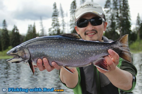 Big Eastern Brook Char from BC