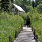 Red Lake Cabins