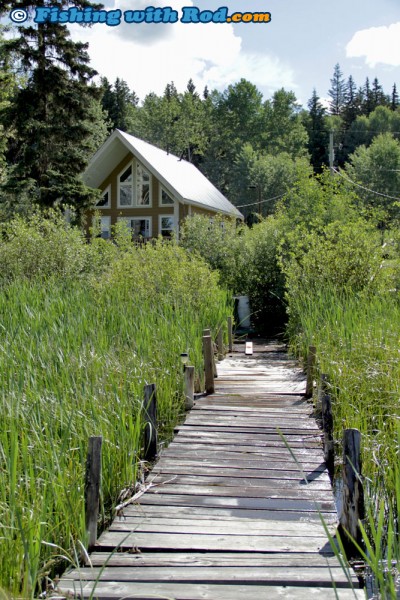 Red Lake Cabins