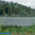 Morning Mist at Red Lake, Kamloops