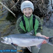 Big Coho Salmon from the Fraser Valley BC
