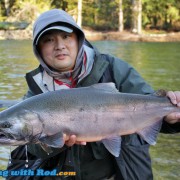 A Big Wild Coho Salmon