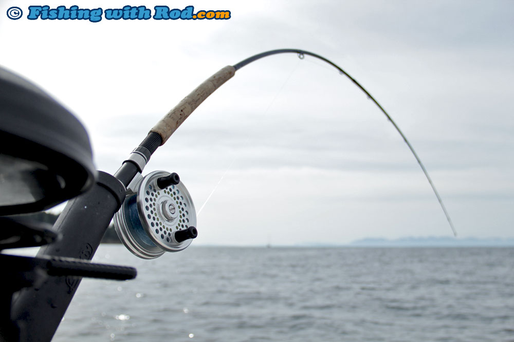 Islander Reel and Shimano Convergence for Salmon Trolling