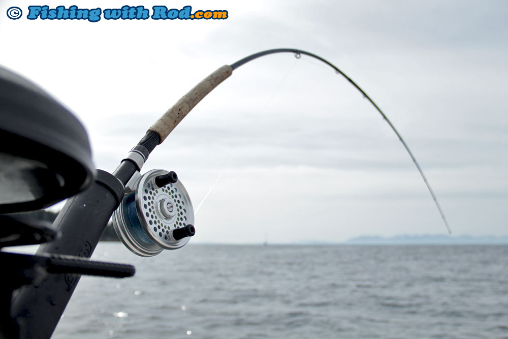 Islander Reel and Shimano Convergence for Salmon Trolling « Fishing with  Rod Blog